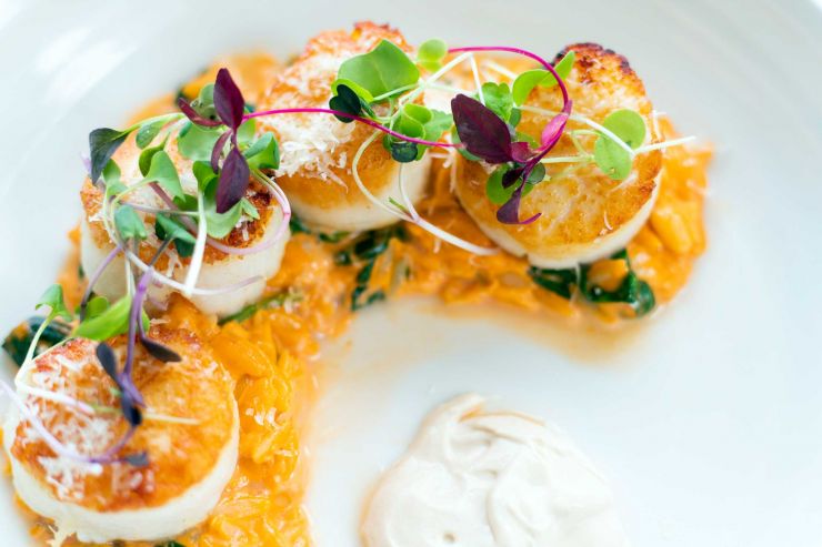 Close up of scallops entree